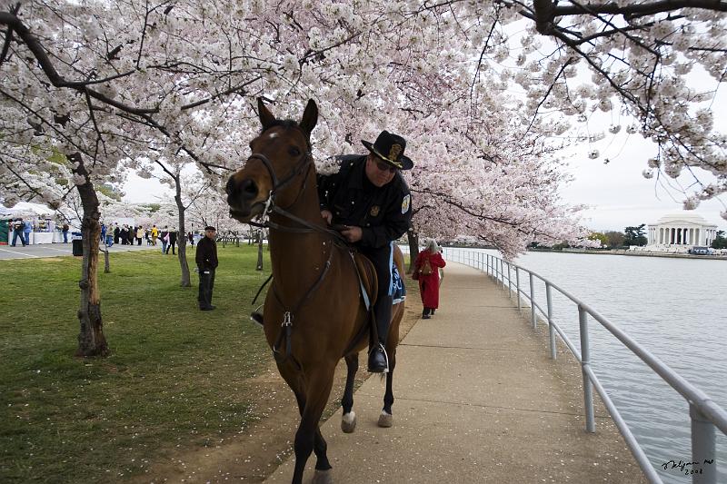 20080403_121505 D3 P.jpg - Policeman on patrol, Tidal Basin